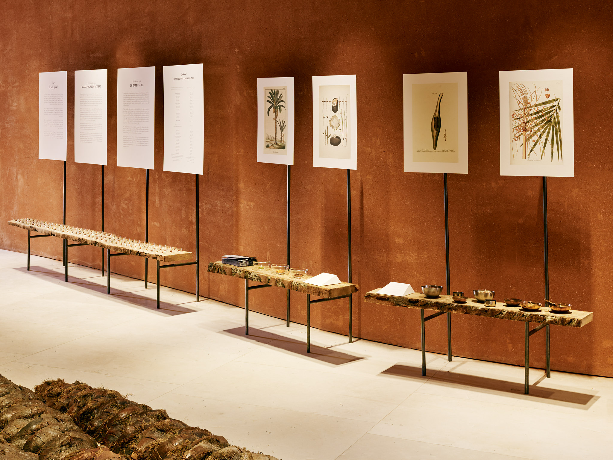 E15547 Alpa 050330 SCREEN